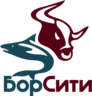 ГК «Борсити»